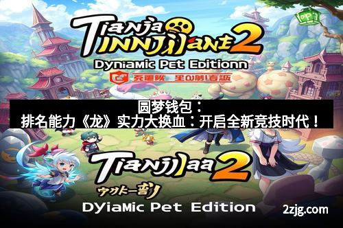 圆梦钱包：排名能力《龙》实力大换血：开启全新竞技时代！